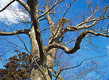 3DM商城游戏推荐 最新折扣